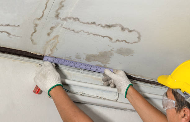 Affordable Water Damage Repair solutions in De Graff, OH